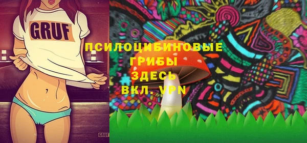 прущая мука Няндома