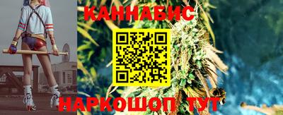 меф Гатчина