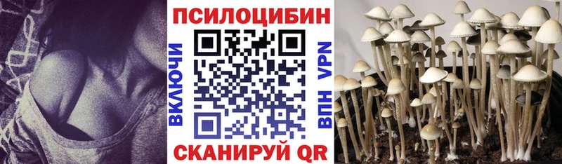 Псилоцибиновые грибы прущие грибы  Раменское 