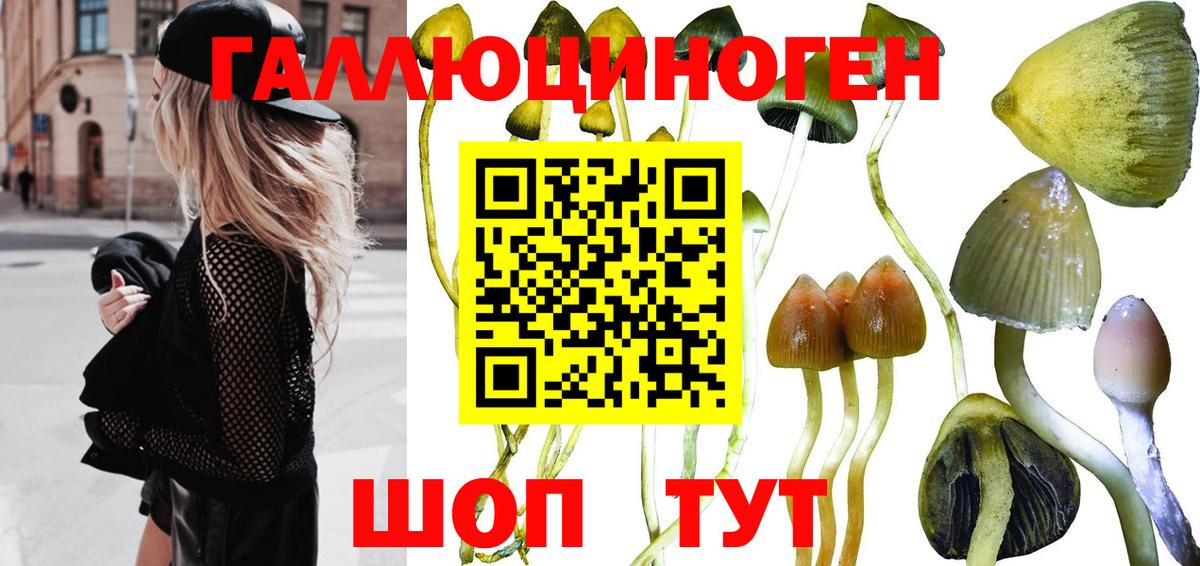 Псилоцибиновые грибы прущие грибы Раменское