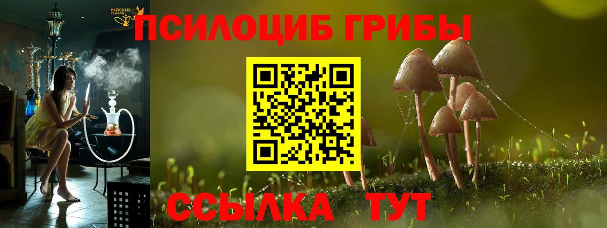 где продают наркотики  Вход с VPN  Раменское  Псилоцибиновые грибы Psilocybe 